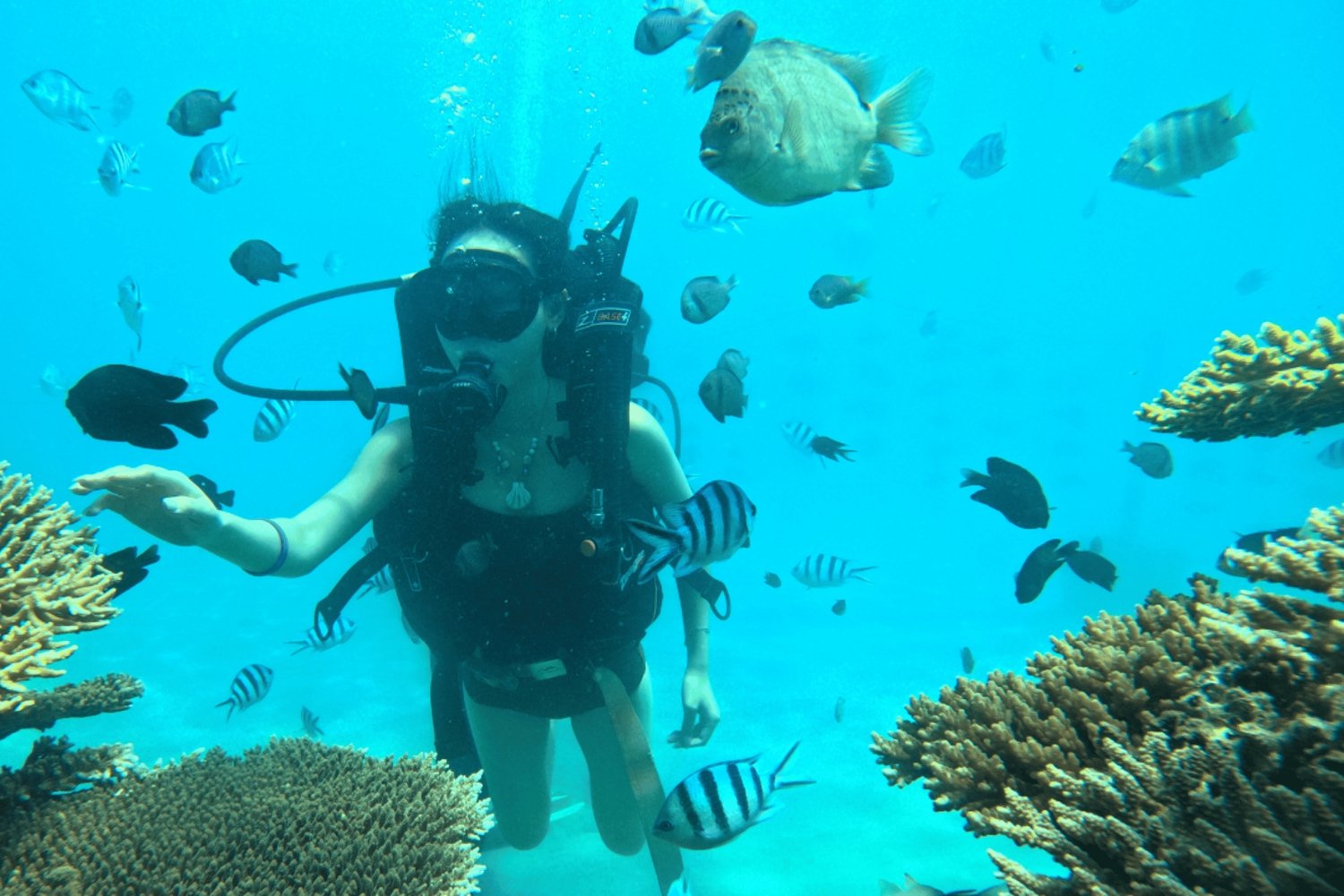Nha Trang: Eine grüne Reise – Tief tauchen, um Korallen zu pflanzen