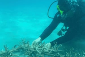 Nha Trang: Eine grüne Reise – Tief tauchen, um Korallen zu pflanzen