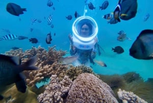 Nha Trang: Eine grüne Reise – Tief tauchen, um Korallen zu pflanzen