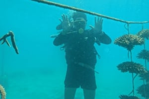 Nha Trang: Eine grüne Reise – Tief tauchen, um Korallen zu pflanzen