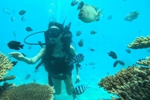 Nha Trang: A Green Journey – Diving Deep to Plant Corals