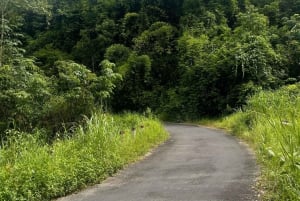 Nha Trang: ATV Extreme Tour at Kong Forest