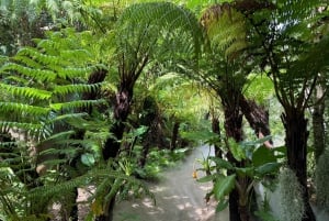 Nha Trang: tour instagramável com café escondido