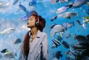 Nha Trang : visite des sites incontournables de la ville avec un guide de la région