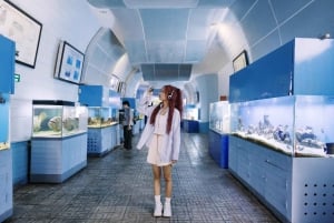 Nha Trang : visite des sites incontournables de la ville avec un guide de la région