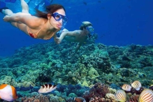 Nha Trang: Coral Bayn merikävelykierros ja lounas