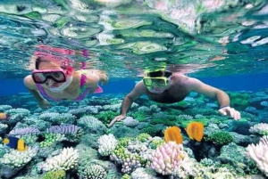 Nha Trang: Coral Bayn merikävelykierros ja lounas