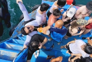 Nha Trang: mergulho com snorkel em recifes de coral e festa em bar flutuante