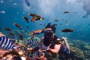 Nha Trang: Coral Reef Snorkeling, Mud Bath & Floating Bar