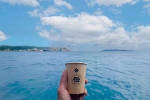 Nha Trang: Coral Reef Snorkeling, Mud Bath & Floating Bar