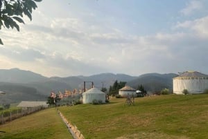 Nha Trang-Da Lat Day Trip: Explore Mongo & Donki Land