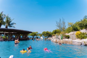 Nha Trang: Snorkling i havet Deluxe med BBQ och gyttjebad