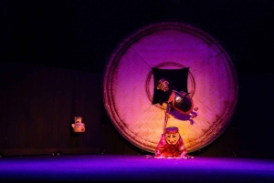 Nha Trang: Đó Opera House Chum Show Private Tour