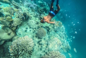 Nha Trang: Aventura de mergulho com snorkel de meio dia com churrasco a bordo