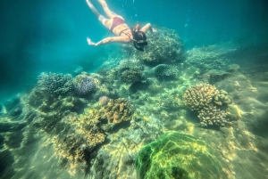 Nha Trang: Aventura de mergulho com snorkel de meio dia com churrasco a bordo