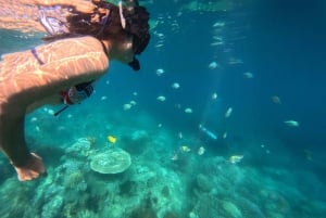 Nha Trang: Aventura de mergulho com snorkel de meio dia com churrasco a bordo