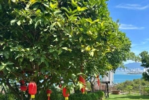 Nha Trang: excursão pelas joias escondidas com café e pho