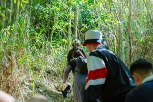 Nha Trang: Hon En Peak Hike & Paragliding Experience