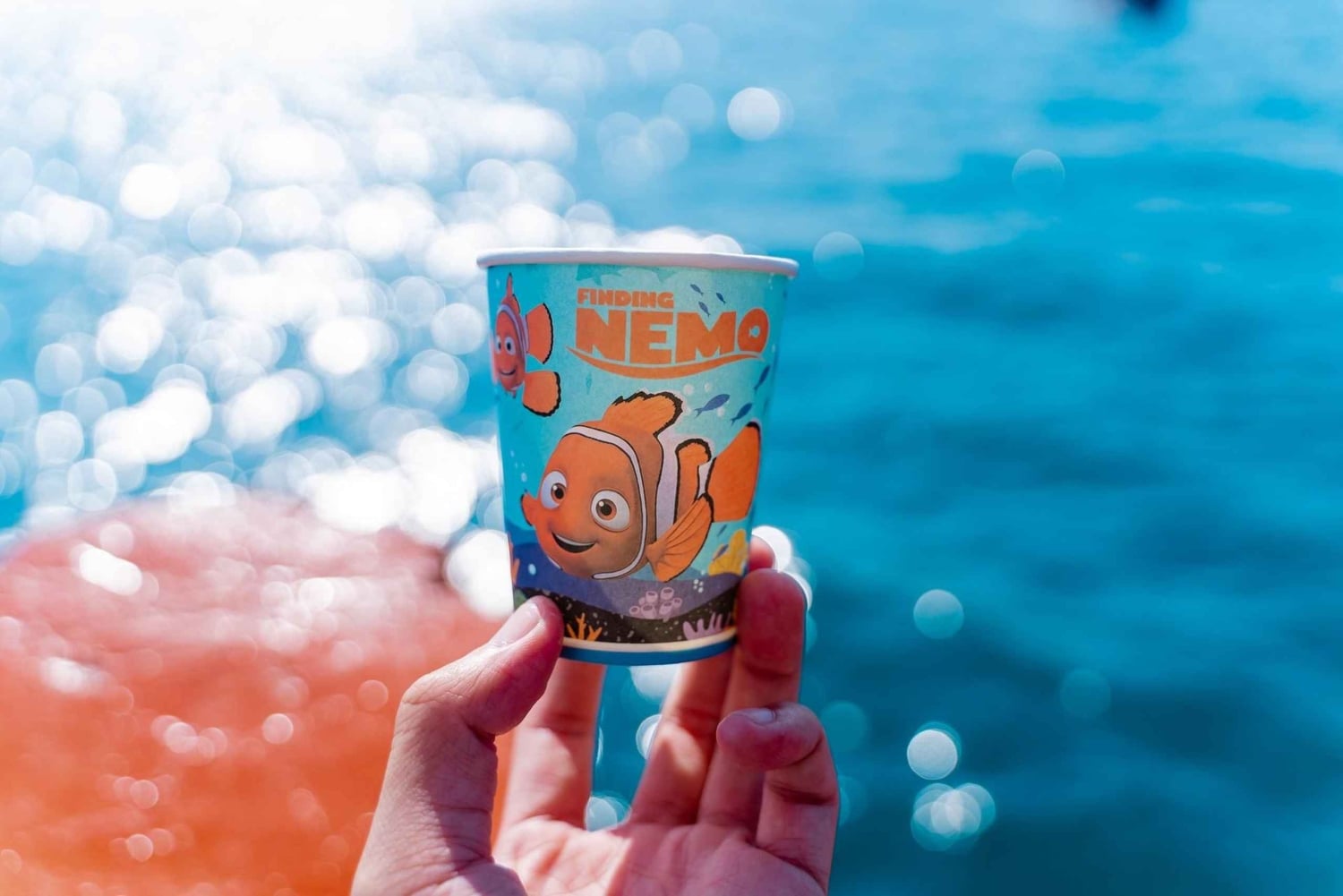 Nha Trang: Hoppingtur, snorkling, båtfest og BBQ-lunsj