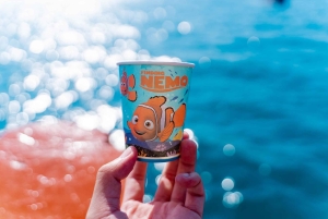 Nha Trang: Hoppingtur, snorkling, båtfest og BBQ-lunsj