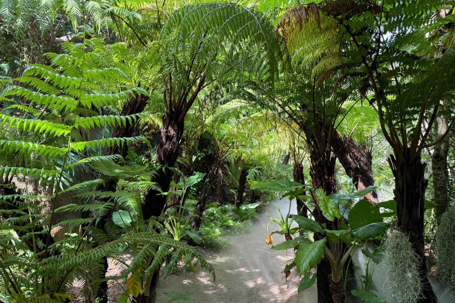 Nha Trang: tour instagramável com café escondido