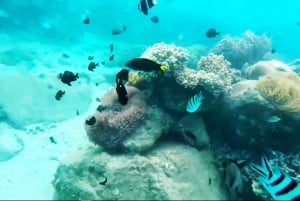 Nha Trang Island Discovery
