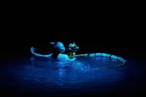 Nha Trang: Life Puppets Show Ticket at Đó Theater