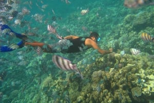 Nha Trang: Aventura de mergulho com snorkel de meio dia com churrasco a bordo