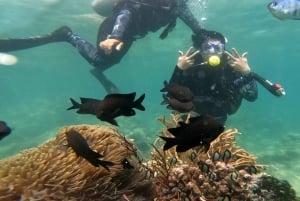 Nha Trang: Aventura de mergulho com snorkel de meio dia com churrasco a bordo