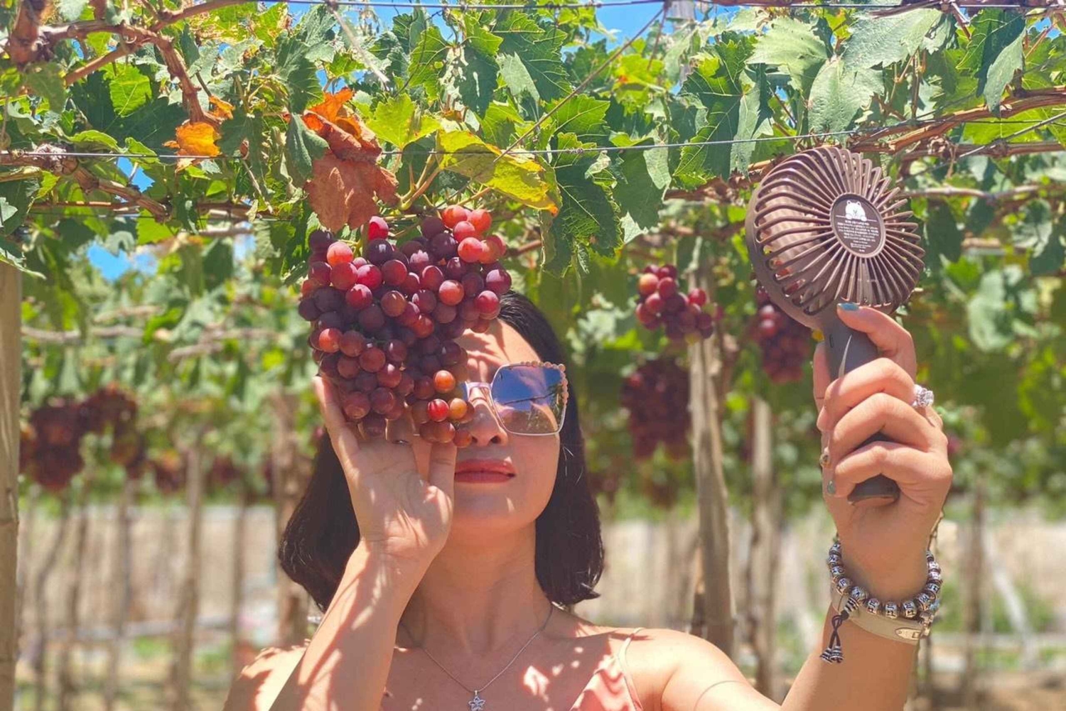 Nha Trang: Nui Chua Coast Road & Vinh Hy Private Tour