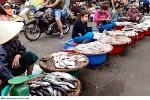 Nha Trang: Privat utflykt med lunch hemma