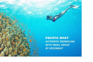Nha Trang-Private snorkel tour & island hopping by Speedboat