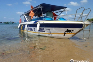 Nha Trang-Private snorkel tour & island hopping by Speedboat