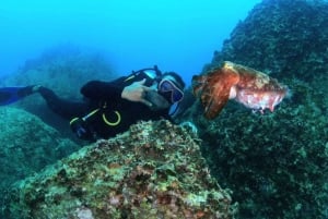 Nha Trang: Scuba Diving Experience for Non-Certified Divers