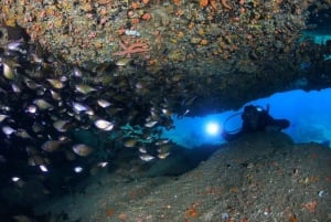 Nha Trang : expérience de plongée sous-marine pour les plongeurs non certifiés