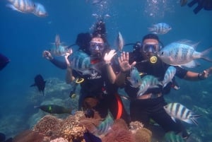 Nha Trang: Dykkeopplevelse for ikke-sertifiserte dykkere