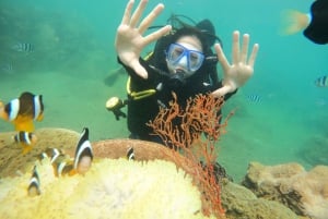 Nha Trang: Scuba Diving Experience for Non-Certified Divers