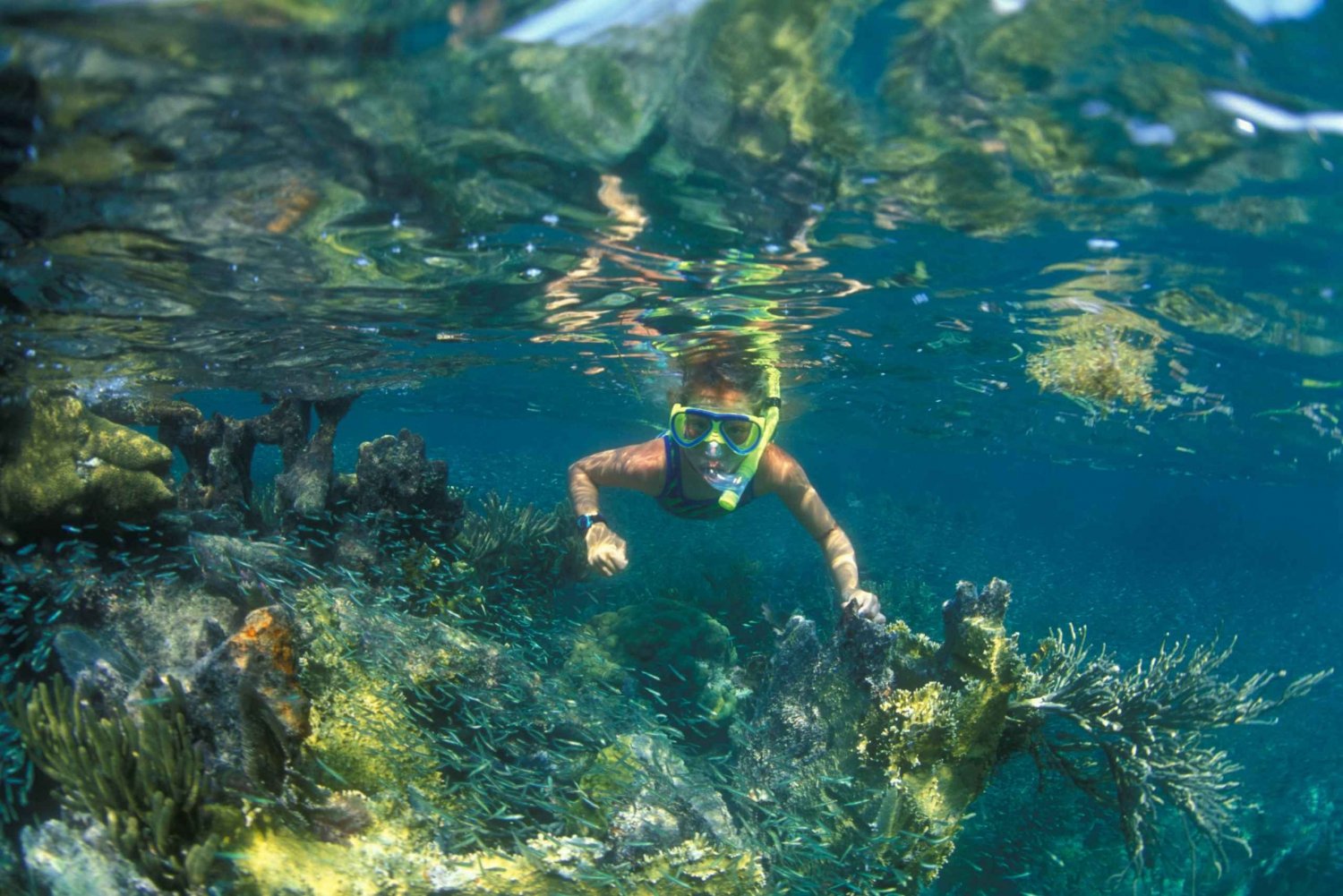 Nha Trang: Snorkletur ved korallrevet