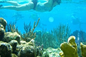 Nha Trang : plongée avec masque et tuba dans le récif corallien