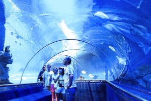 Nha Trang: Speedboat Beach Tour and Tri Nguyen Aquarium