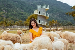 Nha Trang: Tanyoli Sand Dunes and Phan Rang Guided Day Trip