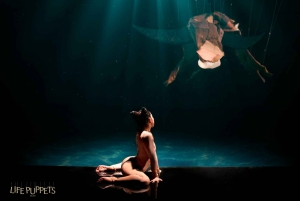 Nha Trang: Ticket for a Live Puppet Show at the Do Theater