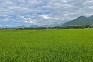 De Nha Trang a Da Lat: tour de 1 día en moto o minibús