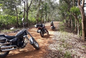 4 días: aventura en moto desde Nha Trang a Mui Ne.