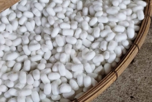 Nha Trang to Mui Ne: 4-Day Motorbike Tour - Easy rider