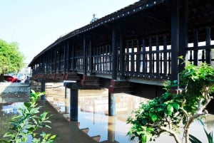 Full-Day Ninh Binh Tour: Hoa Lu, Trang An, Mua & Bich Dong