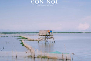 Full-Day Ninh Binh Tour: Hoa Lu, Trang An, Mua & Bich Dong