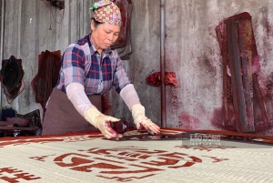 Full-Day Ninh Binh Tour: Hoa Lu, Trang An, Mua & Bich Dong