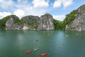 Ninh Binh: 2-Day Cat Ba Island Adventure & Lan Ha Bay Cruise