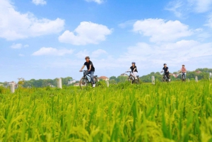 Ninh Binh 2 dagar 1 natt Liten grupp med 9 turer från Hanoi